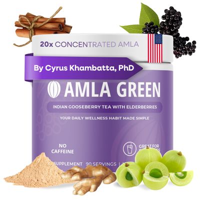 Amla Powder & Immunity Blend Superfood Supplement with Elderberry, 20x Ultra Concentrated Amla, Immune Support, Made with Ginger, Cinnamon, Peppermint, Indian Gooseberries, Immunity, 90 Servings