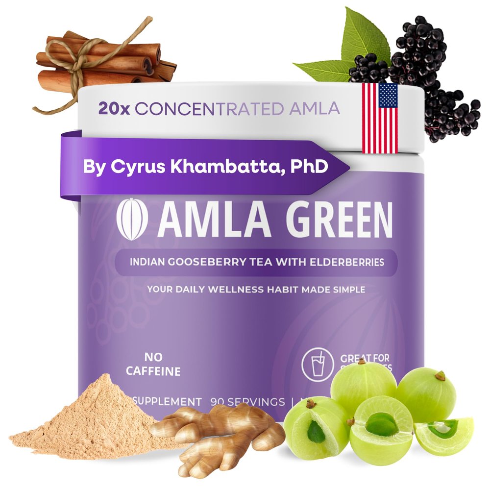 Amla Powder & Immunity Blend Superfood Supplement with Elderberry, 20x Ultra Concentrated Amla, Immune Support, Made with Ginger, Cinnamon, Peppermint, Indian Gooseberries, Immunity, 90 Servings