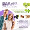Amla Powder & Immunity Blend Superfood Supplement with Elderberry, 20x Ultra Concentrated Amla, Immune Support, Made with Ginger, Cinnamon, Peppermint, Indian Gooseberries, Immunity, 90 Servings view 4