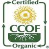 McCabe Organic White Quinoa Flour - Quinoa Flour Organic | Rich with Fiber & Minerals | USDA and CCOF Certified | Packed in USA | 2Lbs (Pack of 3) view 4