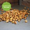 Organic Sprouting Seeds - Handy Pantry Sweet Protein Mix 4 oz. - Fava Bean, Mung Bean, & Yellow Pea Seeds - High Protein Food for Daily Health or Food Storage - Easy and Delicious Organic Sprout Seeds view 4