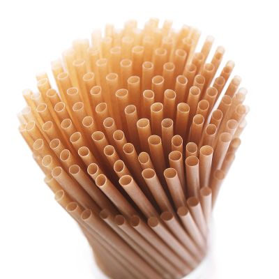 SHAUMN Biodegradable 200pcs Sugarcane Straws 8 Inch Compostable Disposable Drinking Straws Plastic Free Sturdy Smoothie Straws for Home Restaurant Parties Not Foggy