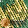 SHAUMN Biodegradable 200pcs Sugarcane Straws 8 Inch Compostable Disposable Drinking Straws Plastic Free Sturdy Smoothie Straws for Home Restaurant Parties Not Foggy view 3