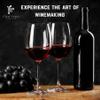 Fontana Washington State Yakima Wine Kit | Ingredient Kit - 6 Gallon Kit | Makes 30 Bottles of Wine view 4