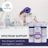 BrainChild Nutritionals Spectrum Support II P5P Vitamins Liquid Supplement for Autism - Bioavailable B6 (P-5-P) with Herbs for Kids & Adults on The Spectrum, Gluten-Free - Unflavored 16oz view 3