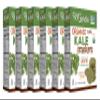 RW Garcia Organic Kale Crackers, Gluten Free, 5.5oz boxes, 6 pack view 3