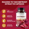 Healbend Organic Beet Root Capsules 1300mg - Nitric Oxide Booster Beets Support Healthy Blood Pressure, Heart Health, Circulation Superfood - 120 Count view 2