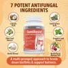 Balance ONE Candida Cleanse & Yeast Support Complex  Caprylic Acid, Undecylenic Acid, Berberine & Oregano Leaf  Gut Flora Balance for Women & Men  90 Delayed Release Capsules  CandAssist view 2