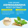 Ashwagandha Gummies 2000mg for Women Men - Sugar Free, Vegan - Organic Ashwagandha Root Extract Supplements Gummy & Vitamin D3, B12 and Turmeric, Promote Relaxation, Mixed Berry Flavor, 120 Count view 4