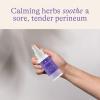 Lansinoh Herbal Perineal Spray, Postpartum Essentials, 3.5 Ounces view 2