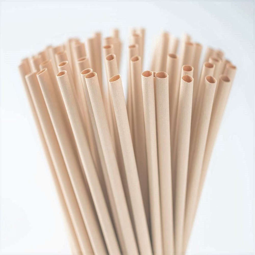 100% Natural Bamboo Fiber Compostable Straws | NEVER SOGGY | Biodegradable + Eco-Friendly + Plastic Free | Plastic Straw Alternative (Regular 6 mm)