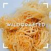 Sea Moss | WILDCRAFTED | 2.5 oz that makes 64 oz of gel | Raw + Non GMO | Sundried | MINERAL RICH | Saint Lucia Sea Moss | GOLDEN view 2