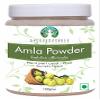 AYURVEDASHREE Amla Fruit Powder (Amalaki) 100 Gm | Raw and Non GMO | Rich in Antioxidant Vitamin C | Vegan | 100% Raw from India | Emblica Officinalis | Indian Gooseberry view 1