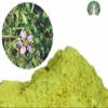 AYURVEDASHREE Fagonia cretica Powder 100 Gm | Dhamasa | Gluten Free | Non GMO | Vegan view 2