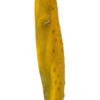 Vickerman 36-38" Basil Kelp - (Sea Kelp), 1 Piece per Pack, Dried view 2