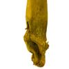 Vickerman 36-38" Basil Kelp - (Sea Kelp), 1 Piece per Pack, Dried view 4
