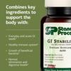 Standard Process GI Stability - Gut Microbiome Health Dietary Support - Prebiotic Supplement to Offer Immune Health Care - Vegetarian, Gluten-Free & Non-Soy - 90 Wafers (45 Servings) view 4