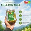 Add me Amla Murabba 400G bina ras Dry awla muraba Best Quality Pet Jar view 4