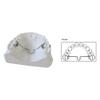 J&J Ortho Orthodontic Palatal Arch (5/pk) (Goshgarian (Distal), 49mm) view 2