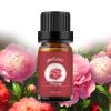 yethious Peony Essential Oils for Diffuser & Aromatherapy Pure Peony Oil for Skin - 10ML view 1