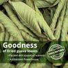 2.6oz Dried Guava Leaves, Hoja de Guayaba Secas, 100% Natural Leaves, Dried Guava Leaf, Loose Leaf Tea, Non-GMO, No Additives, Caffeine-free. by Akshit view 2