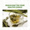 2.6oz Dried Guava Leaves, Hoja de Guayaba Secas, 100% Natural Leaves, Dried Guava Leaf, Loose Leaf Tea, Non-GMO, No Additives, Caffeine-free. by Akshit view 4