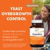 Pure Essence Candex Supplement - Yeast Overgrowth Supplement with Digestive Enzymes, Yeast Infection Probiotic Treatment for Men and Women - 120 Capsules view 2