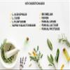 Bulk Buy Digestion Aid - 1400 Count Blend of Digestive Enzymes and Key Probiotic Strains in a Clear Square Grip Jar view 4
