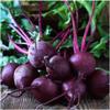 Beets, Early Wonder, Heirloom, Non GMO, 50 Seeds, Tender N Sweet Beet, Perfect view 1