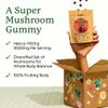 Plant People WonderDay Mushroom Gummies - Lions Mane, Cordyceps, Chaga Mushroom Supplement to Support Immune System De-Stress Boost Mood & Energy in Adults Natural, Vegan, Non-GMO (60 Count) view 2