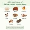 Plant People WonderDay Mushroom Gummies - Lions Mane, Cordyceps, Chaga Mushroom Supplement to Support Immune System De-Stress Boost Mood & Energy in Adults Natural, Vegan, Non-GMO (60 Count) view 3
