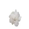 White Alum Crystal Rock Fitkari (300 Gram) view 1