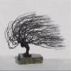 Bonsai Boy w054 Wire Bonsai Tree Sculpture - Windswept Style view 1