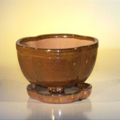 Bonsai Boy L234 8.5 x 6.5 x 3.5 in. Ceramic Bonsai Pot Aztec Orange - Lotus Shape