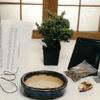 Bonsai Boy a1076 Basic Starter Kit - Juniper Procumbens - Make Your Own Bonsai Tree view 1