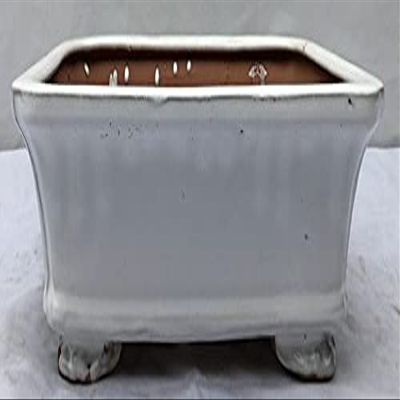 Bonsai Boy L200C Ceramic Bonsai Pot White - Rectangle