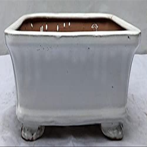 Bonsai Boy L200C Ceramic Bonsai Pot White - Rectangle