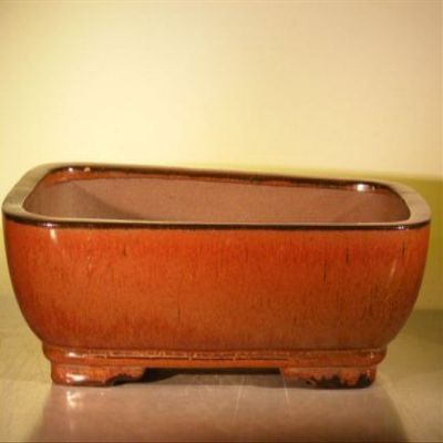 Bonsai Boy L271 14 x 11.5 x 4 in. Ceramic Bonsai Pot Aztec Orange - Rectangle