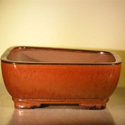 Bonsai Boy L271 14 x 11.5 x 4 in. Ceramic Bonsai Pot Aztec Orange - Rectangle