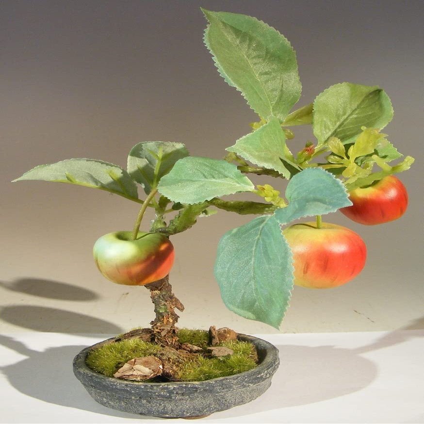 Bonsai Boy e3372 Artificial Apple Bonsai Tree
