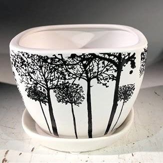 Bonsai Boy L383p Tree Silhouette Bonsai Pot - Square