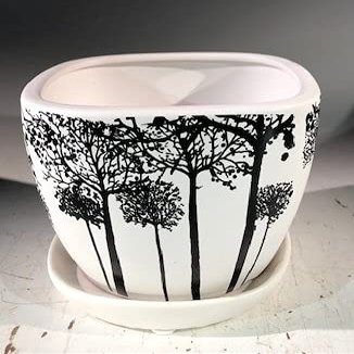 Bonsai Boy L383p Tree Silhouette Bonsai Pot - Square
