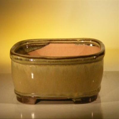 Bonsai Boy L194 10 x 8 x 3.125 in. Ceramic Bonsai Pot Olive Green - Rectangle