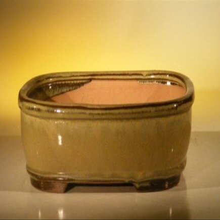 Bonsai Boy L194 10 x 8 x 3.125 in. Ceramic Bonsai Pot Olive Green - Rectangle