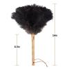 Aldwin Ostrich Feather Duster, 16 inch Black Genuine Ostrich Feathers with Wood Handle, Reusable Car Dusters, Eco-Friendly Cleaning Handheld Dusters for Home, Office and Kitchen view 2