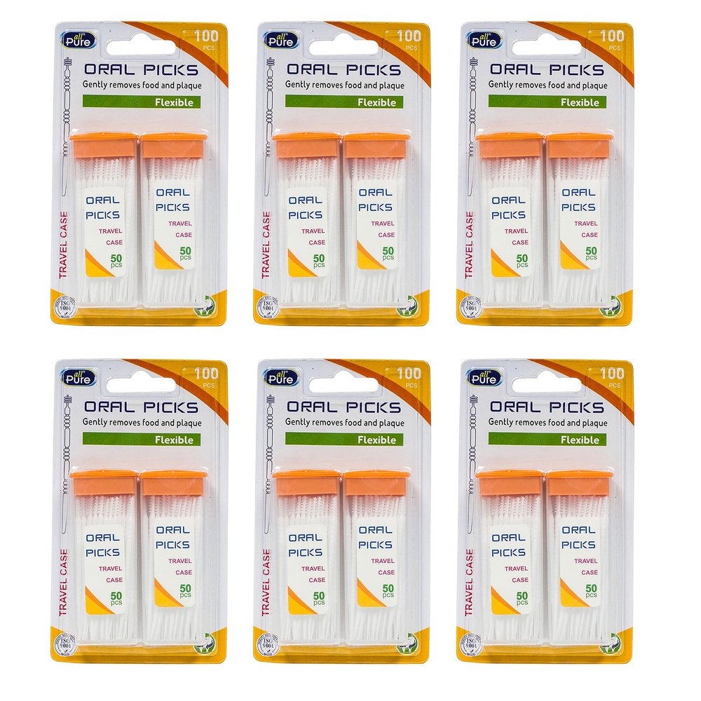 600 Flosser Toothpicks Floss Picks Interdental Brushes Pro Dental Care Hygiene