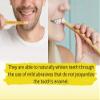 Natural Traditional Miswak (sewak) Peelu Chewing Stick Toothbrush for Whiter Teeth (20) view 4