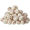 Aiva Phool Makhana (Fox Nut, Popped Lotus Seed) (7 oz / 200 gm)  Crunchy Snack and Cooking Ingredient, Plain Raw Uncooked view 3