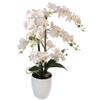 Larksilk 25 Inch Phalaenopsis Orchid Floral Arrangement in Decorative White Ceramic Vase. 17 Diameter view 1