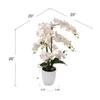 Larksilk 25 Inch Phalaenopsis Orchid Floral Arrangement in Decorative White Ceramic Vase. 17 Diameter view 3